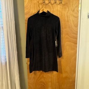 Everlane velour dress